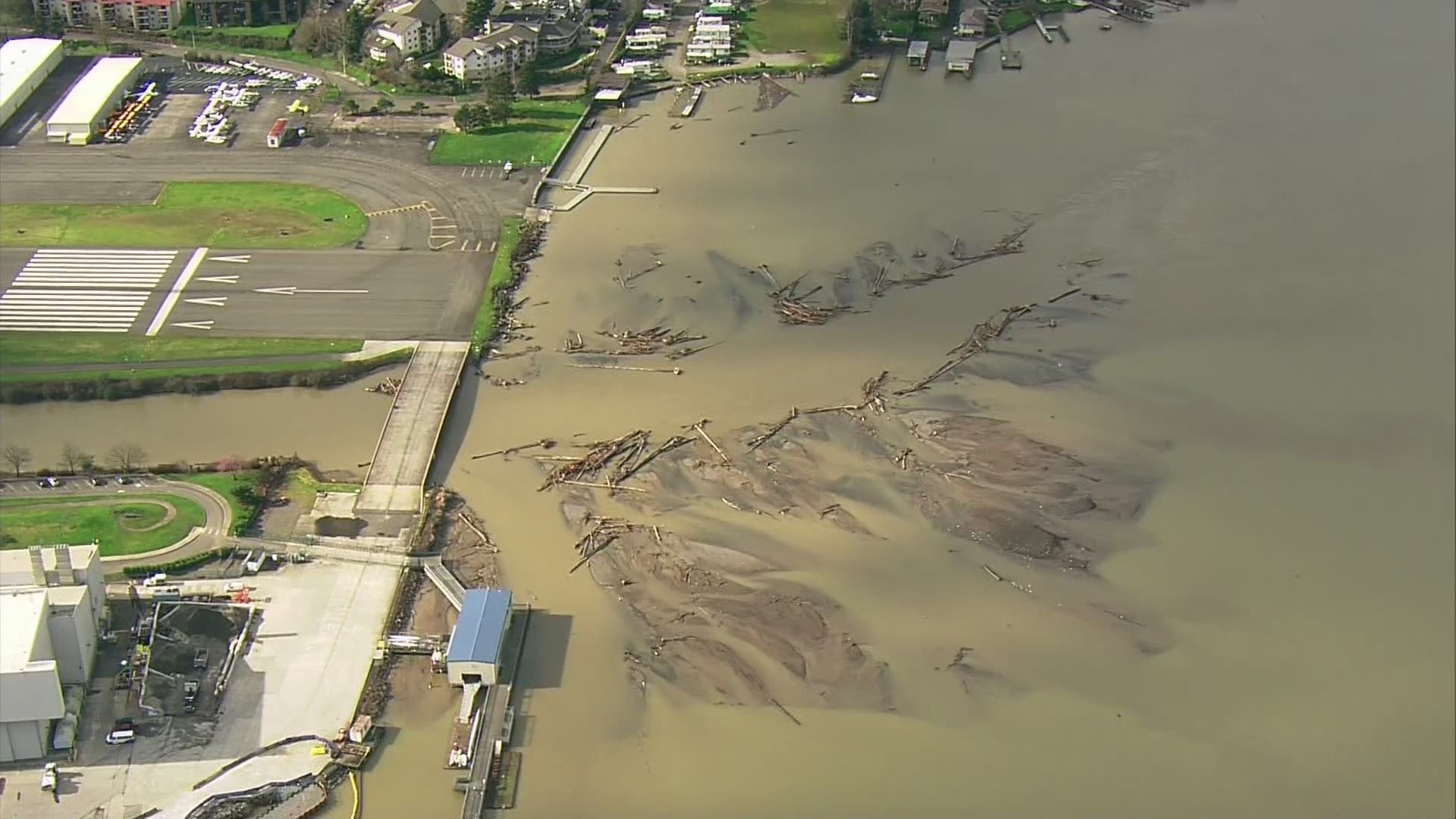 Large logs have ended up in Lake Washington due to Cedar River flooding.
