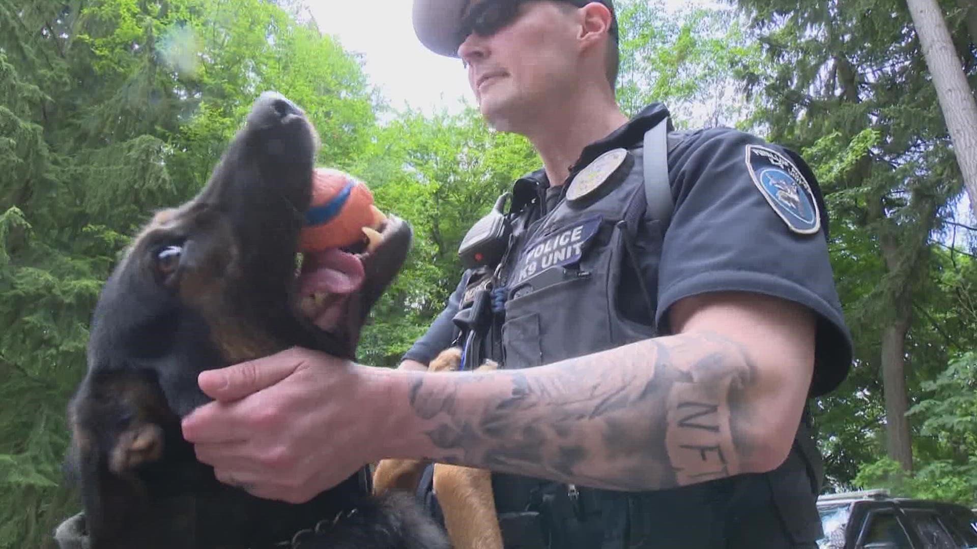 K9 Ice and his handler officer Nate Jendrick have been partners for the Puyallup Police Department for about a year, but have already had a big impact.