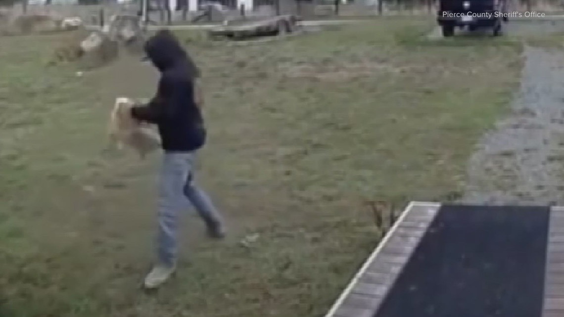 Over 70 Seattle Kraken games to air live on KING, KONG | king5.com