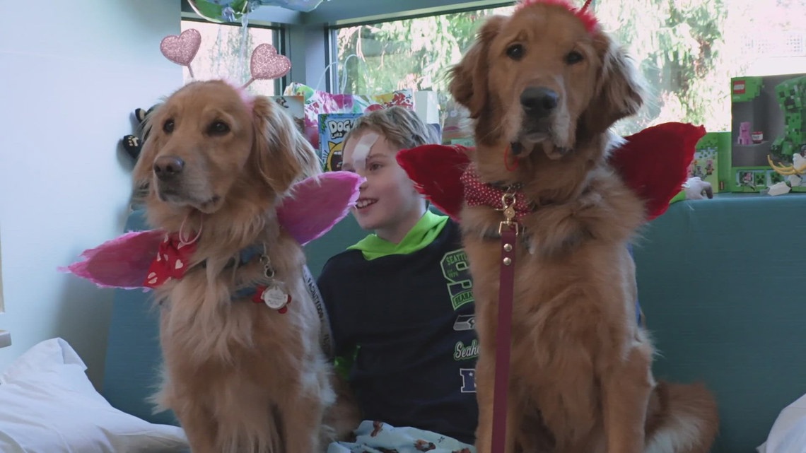 Valentine's Day arrives on 4 paws at Seattle Children’s Hospital