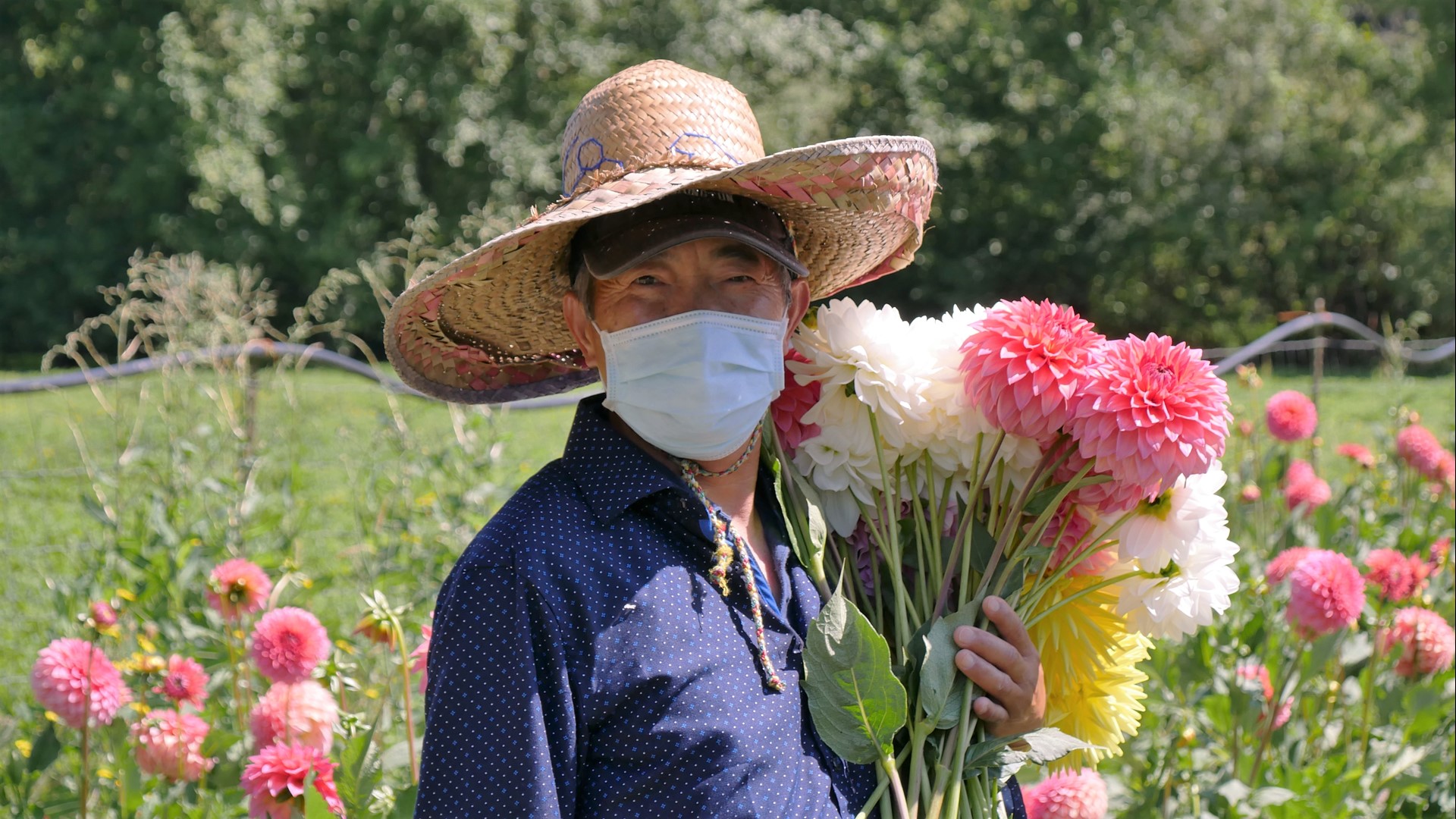 With fewer markets and fewer shoppers, the Hmong farmers behind the iconic flower bouquets are hurting - but thanks to a woman in Lake City, there's a way to help.