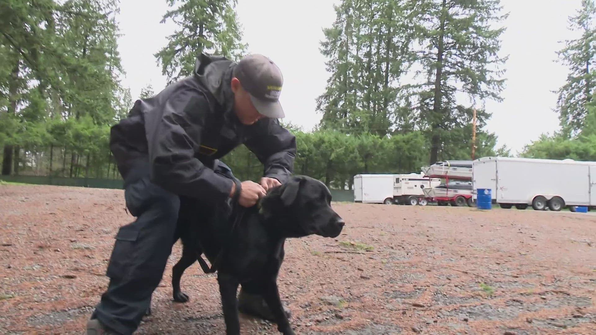 ‘Good boys’ on a mission: California rescue dogs ready to help WA in ...