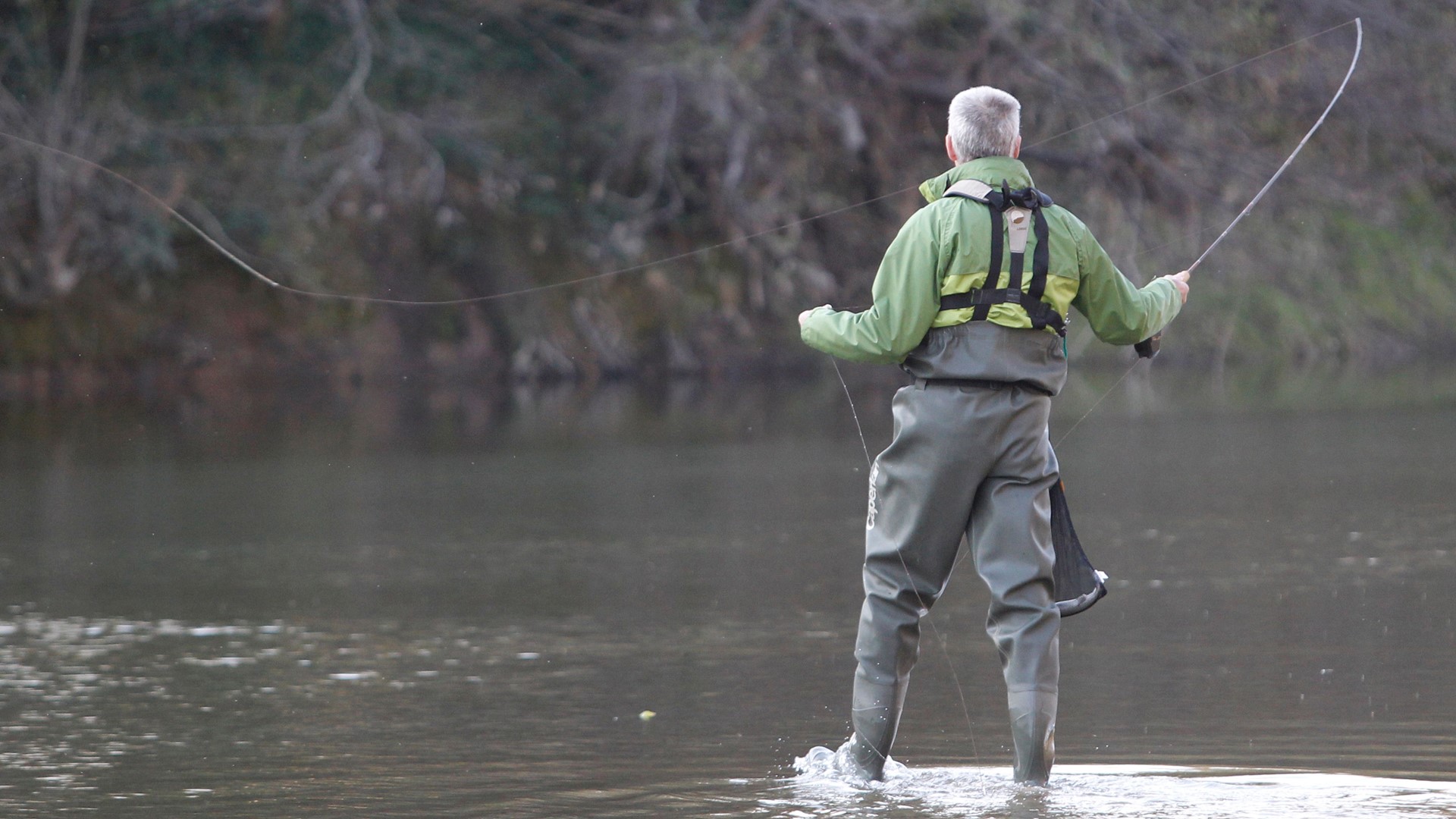 WDFW: Free Fishing During License Suspension | King5.com