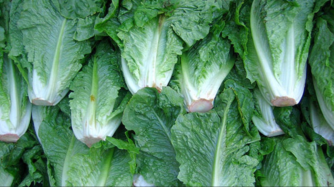 Romaine lettuce possible source for multi-state E.coli outbreak | king5.com