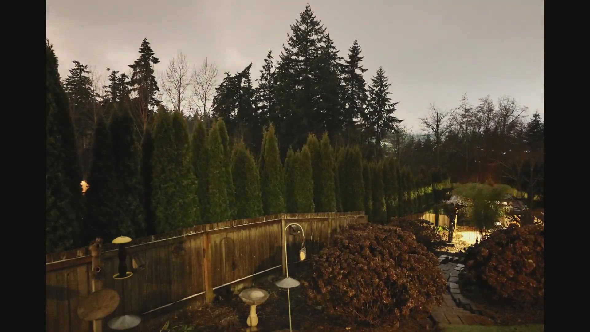 Timelapse over 32 hours in Federal Way shows how shrubs and branches on trees can bend and recover from the weight of ice.
Credit: Cliff Bolstad