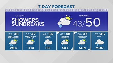 Western Washington Forecast