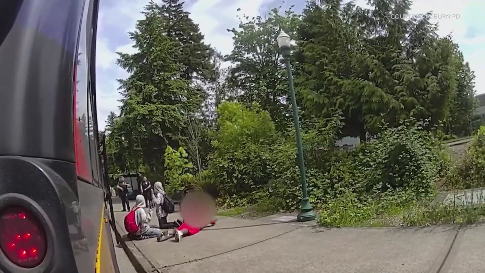 Six teens arrested for robbery, car prowl in Auburn neighborhood