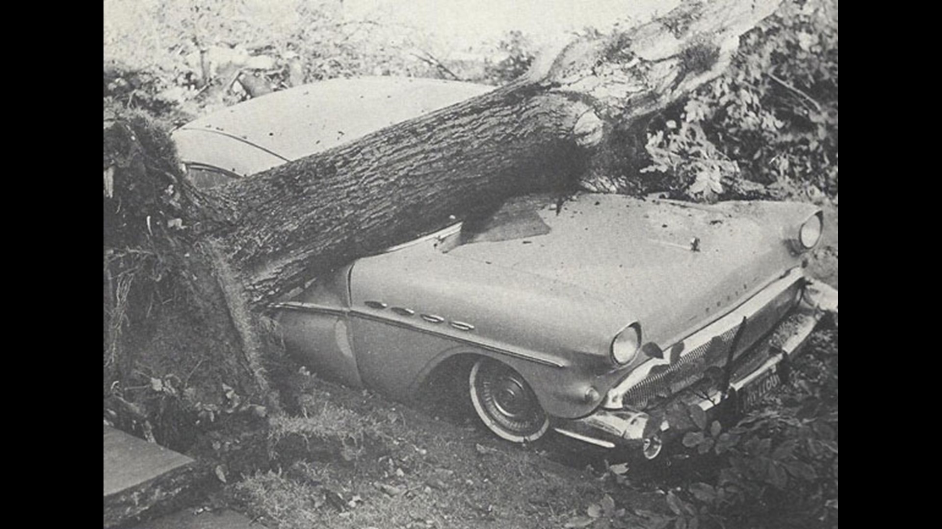 Monday marks the 60th anniversary of the 1962 Columbus Day storm that brought 150 mph wind gusts to parts of Washington.
