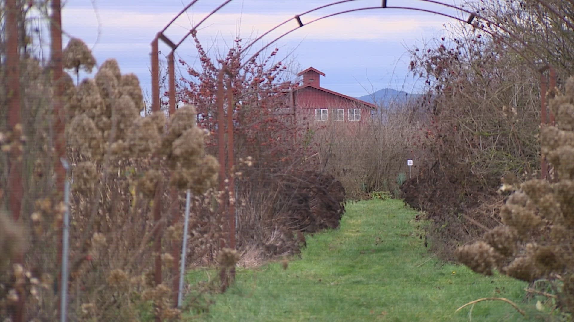 A chance encounter between a Mount Vernon farmer and a Ukrainian gardener is helping her family survive.