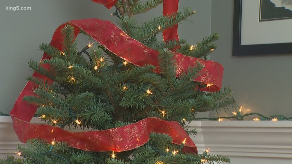 Holiday safety tips Keeping your Christmas tree from catching fire