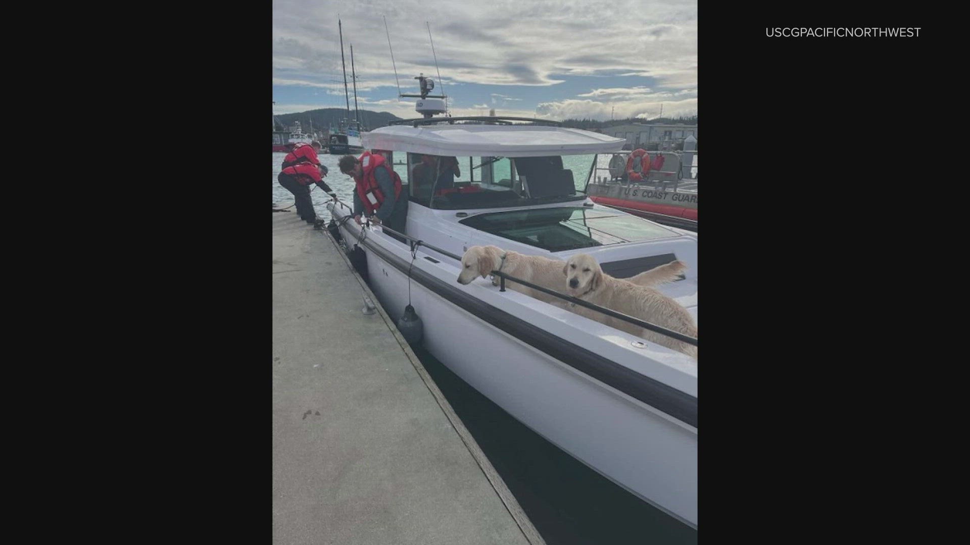 All six people and two dogs from the boat were recovered with no injuries reported.