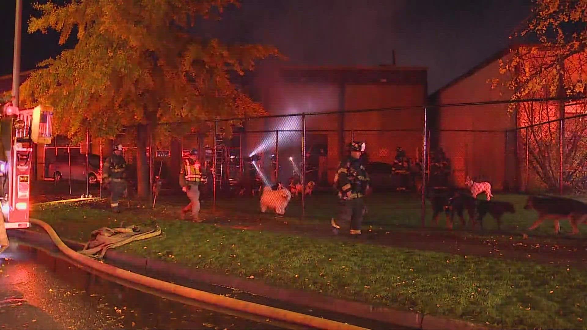 Dogs are still missing after a fire tore through a doggy daycare in Seattle’s SODO neighborhood on Monday.