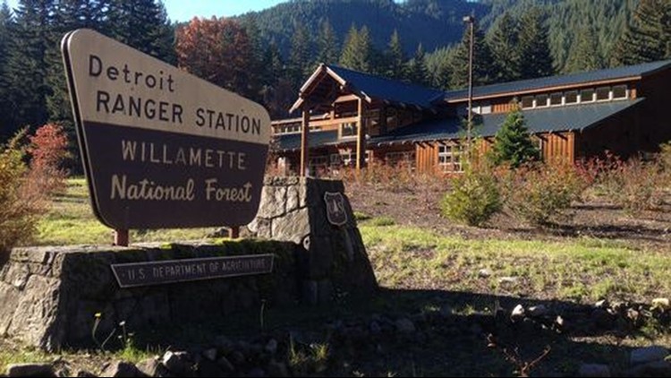 Forest Service hiring for 1,000 jobs in Pacific Northwest | king5.com