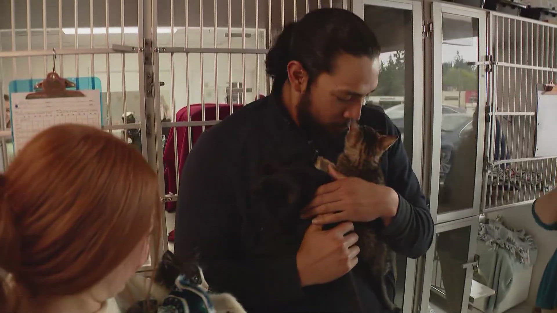 Lights out Mariners closer Andres Munoz visited Seattle Area Feline Rescue in Shoreline on Monday to donate some auction items to help benefit the shelter 