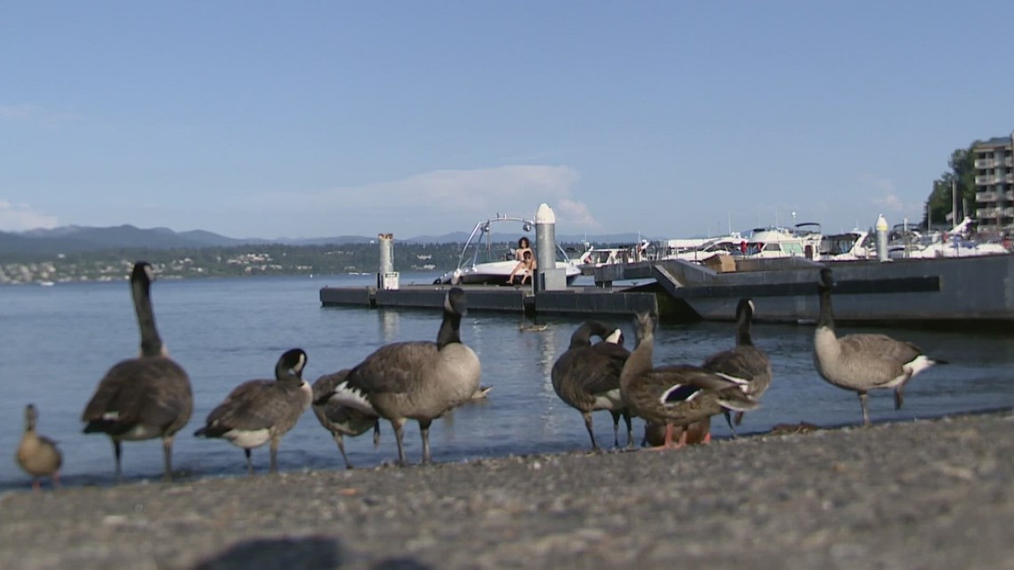 由于犯罪问题，西雅图的大西洋城船坡将提前关闭两个月