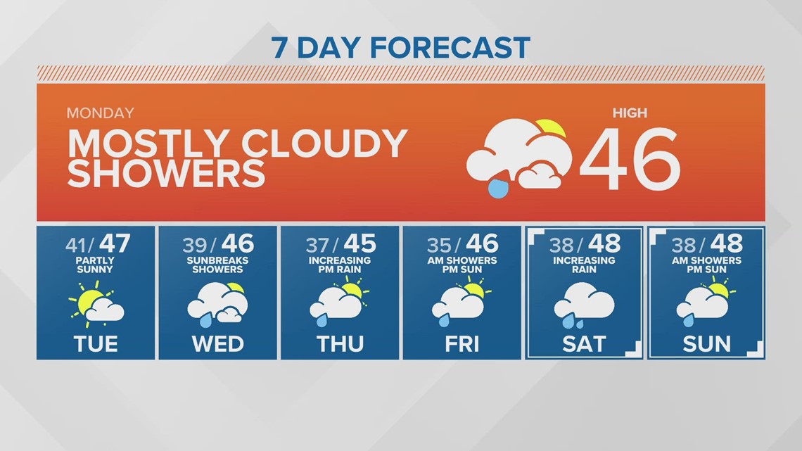 Durable and creative storage solutions with ShelfGenie New Day NW