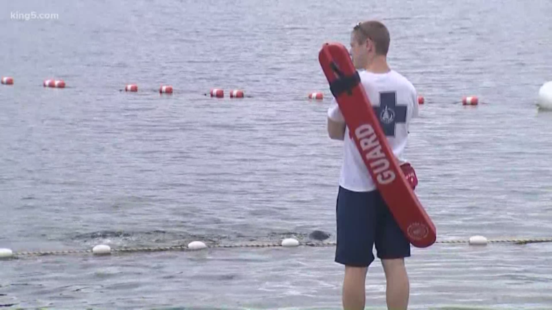 The city of Bellevue is looking to hire 15 more lifeguards so all beaches are properly staffed.