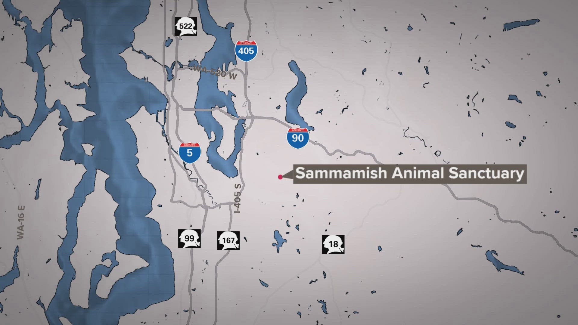 Eleven bunnies dies Sunday night after an electrical fire ripped through the Bunny Barn at Sammamish Animal Sanctuary.
