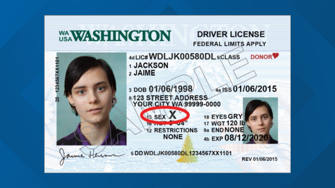 Gender Neutral Option On Washington State Drivers Licenses Gets First Public Hearing 