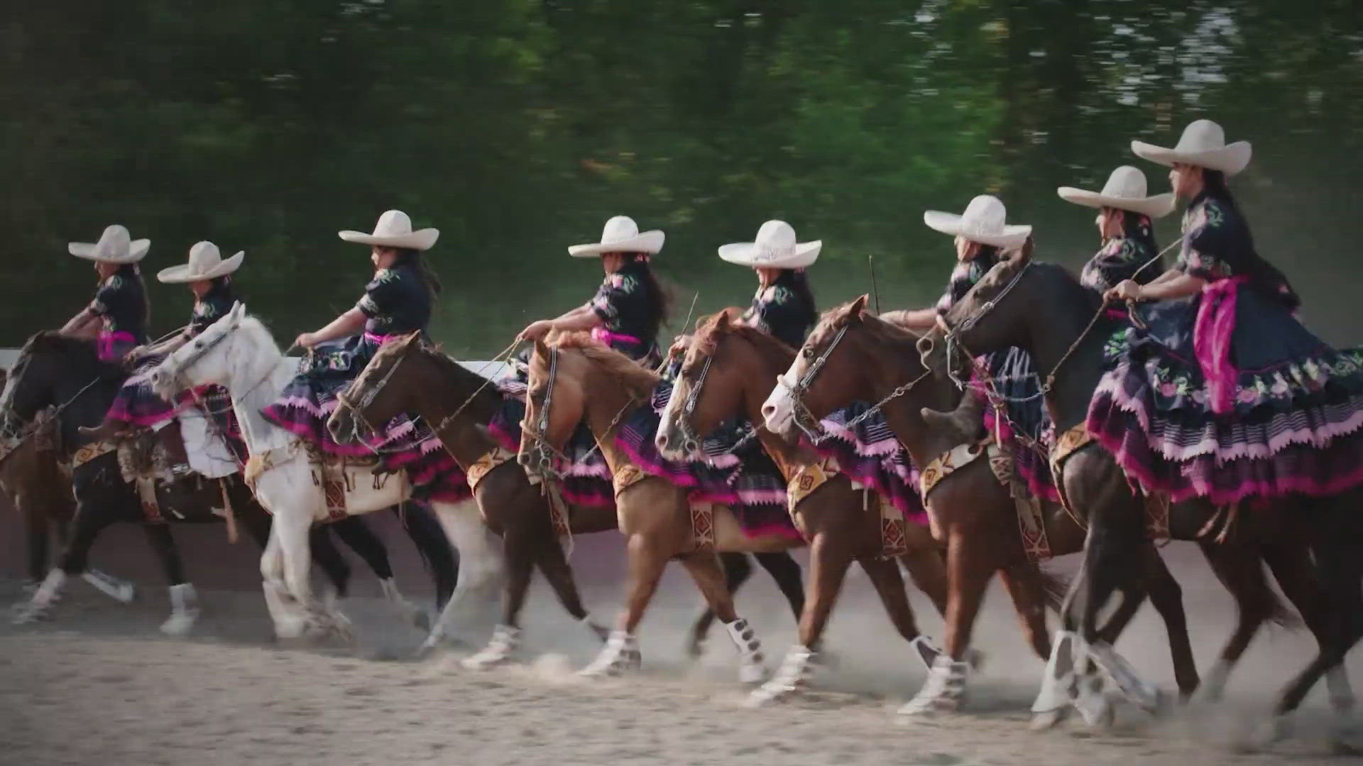 Escaramuza charra is the only event to include women in the Mexican charrería