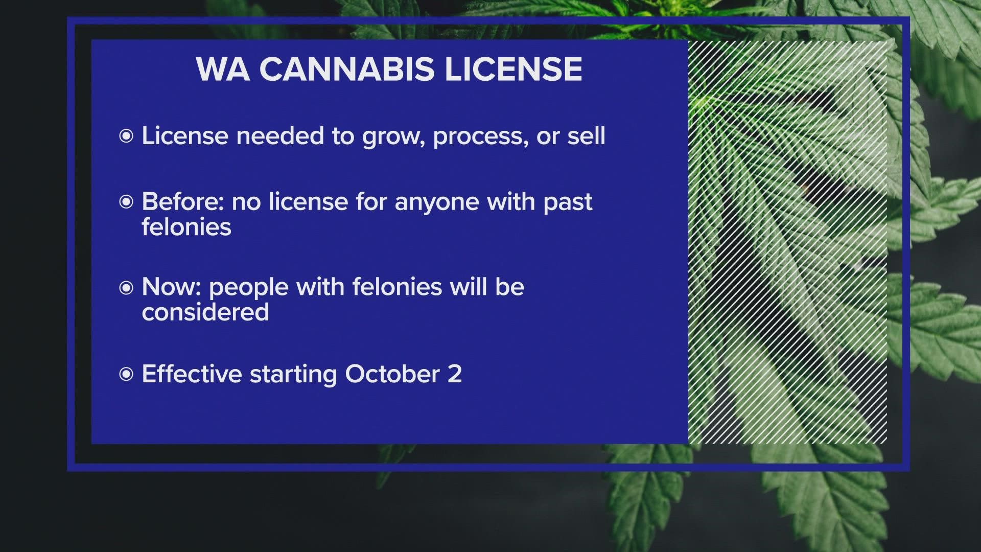 Starting Oct. 2, people who have felonies on their criminal records will be able to apply for a license to grow, process or sell marijuana.