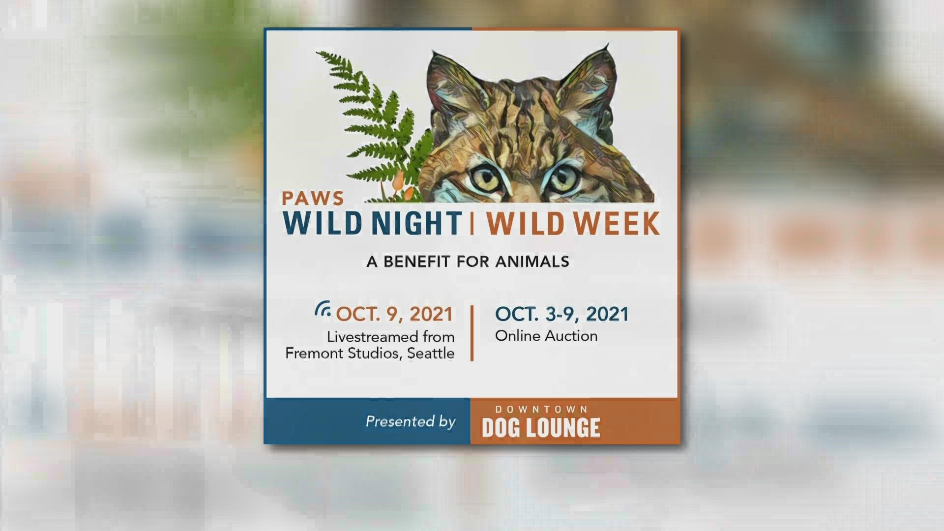 PAWS 'Wild Night' auction goes virtual Oct. 9 to benefit wild and domestic  animals around Puget Sound 