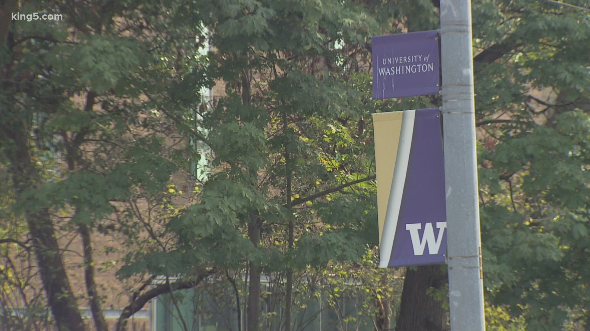 More than 200 University of Washington students in over a dozen sororities and fraternities have tested positive for COVID-19.