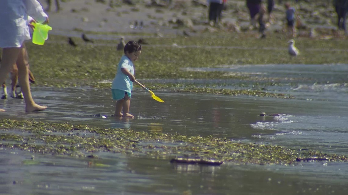 Summer Hours Reduced For Alki Beach And Golden Gardens | King5.com