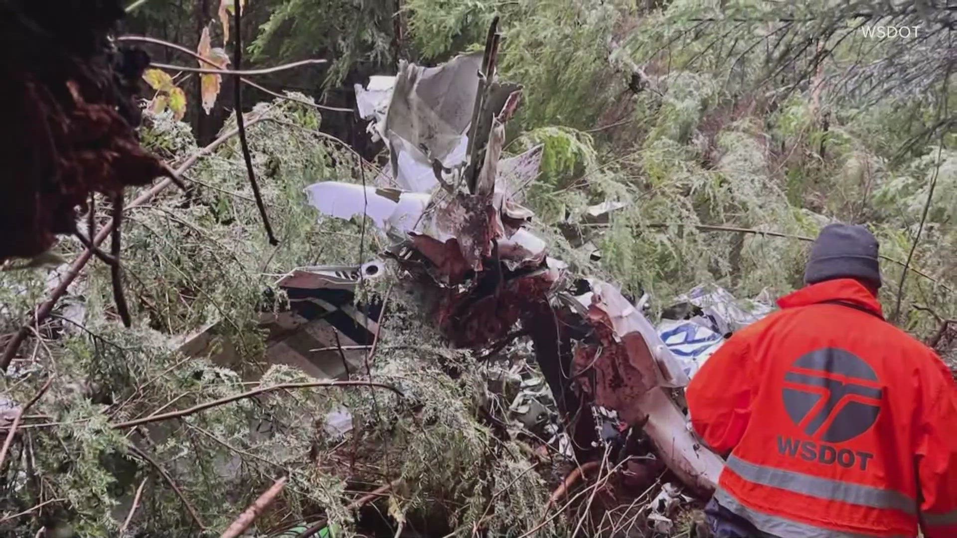 Air search and rescue crews found Rod Collen's plane in a forest near Queets on the Olympic Peninsula, where he was believed to have gone down over a month ago.