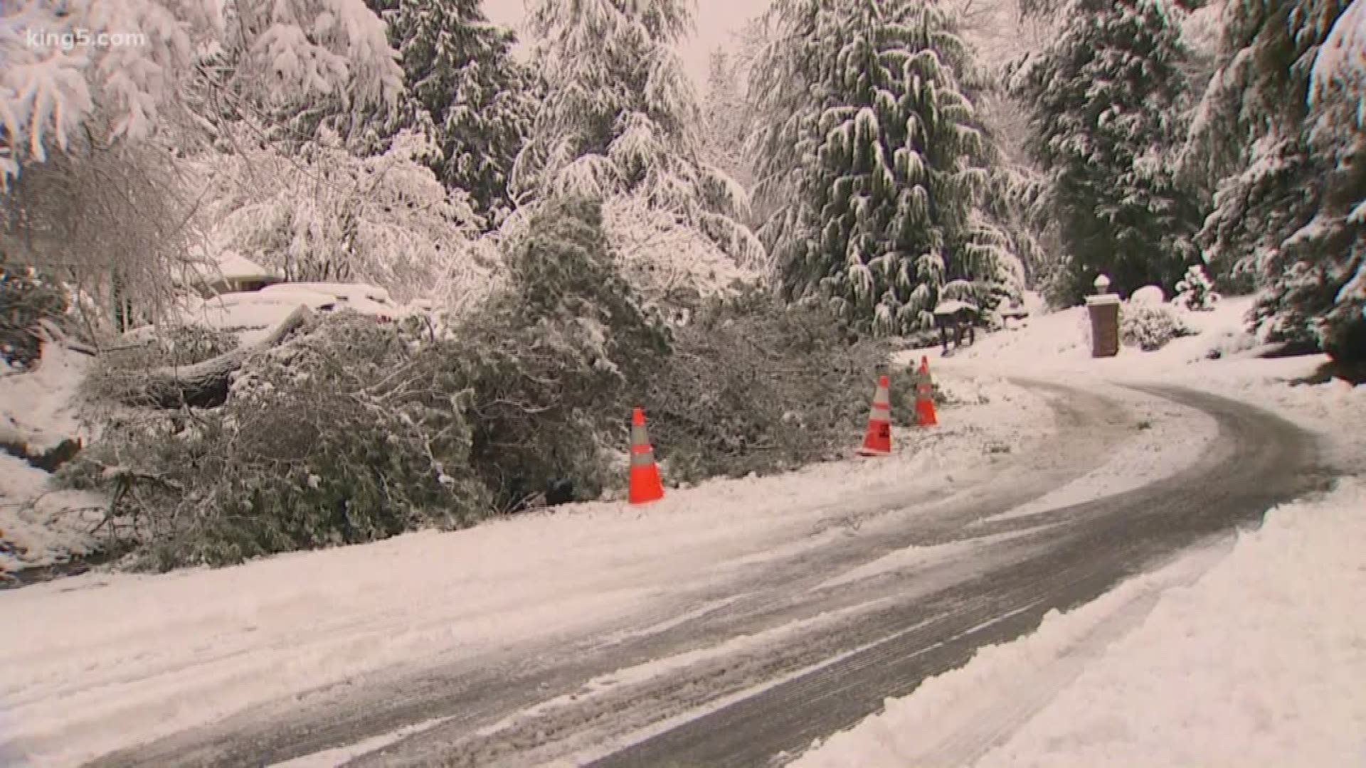 Parts of the Puget Sound lowlands woke up to several inches of snow Monday morning. More than 150 schools in western Washington canceled or delayed classes.