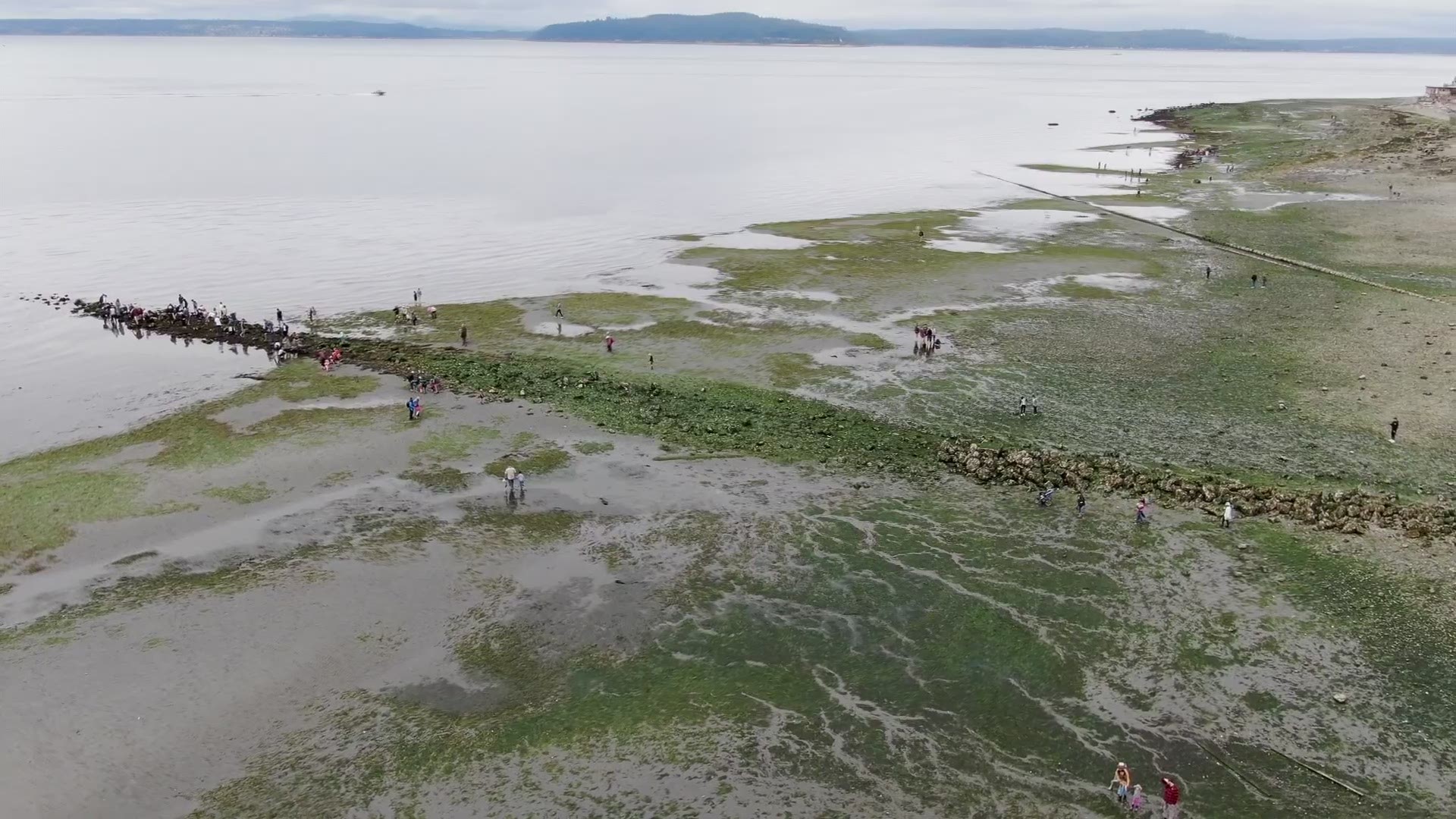 Our drone flew over Constellation Park in West Seattle during July's low tides.