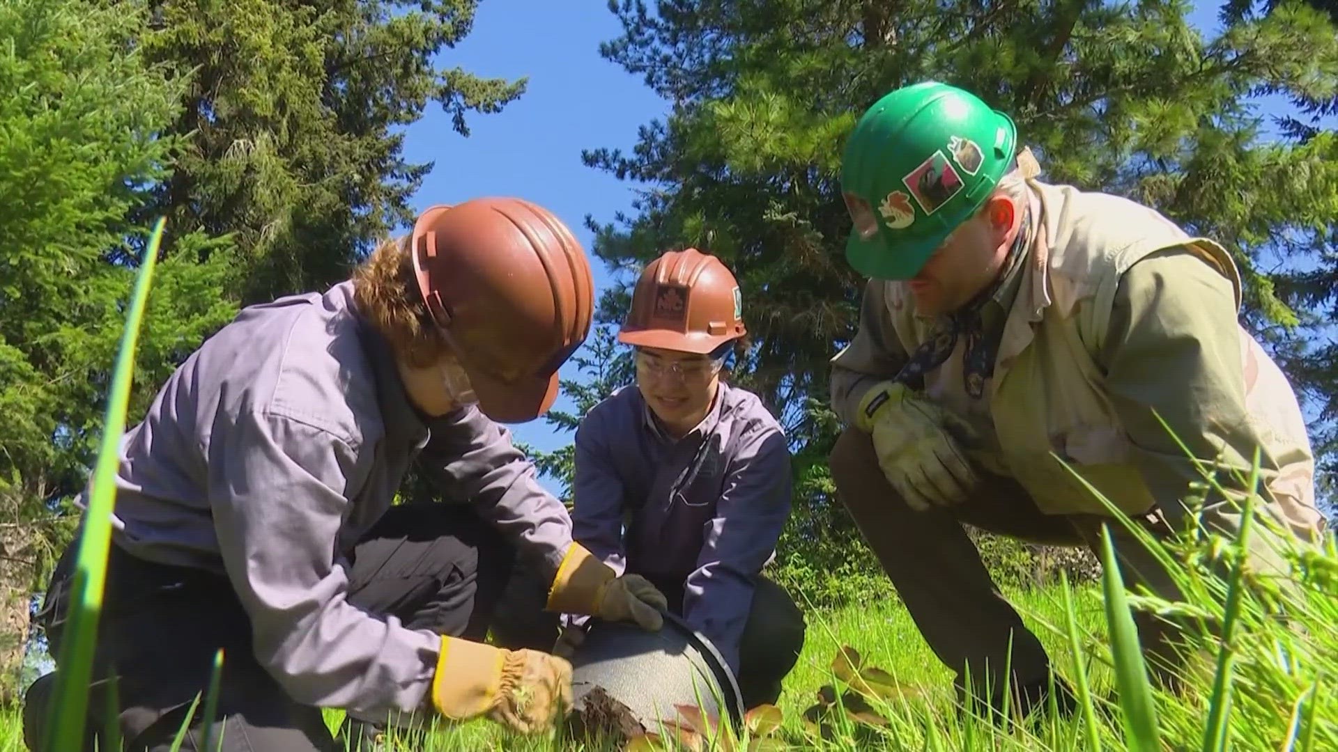 The U.S. Forest Service awarded a $4 million grant to the Northwest Youth Corps to support urban forestry efforts in the Tacoma area.