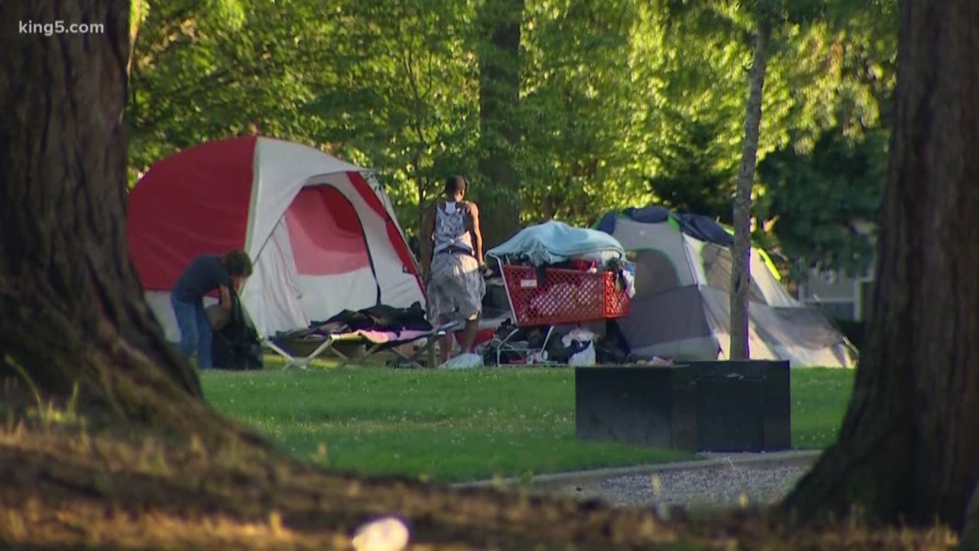 Proposed Tacoma park code would outlaw most tents | king5.com