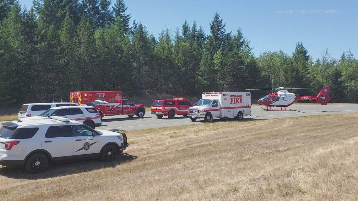 Skydiver Rescued Skydiver rescued after losing consciousness in the air, landing in tree ...