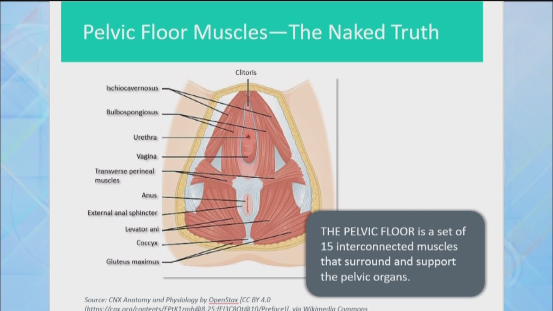 Pelvic health can be a hard issue to discuss for women, but crucial.