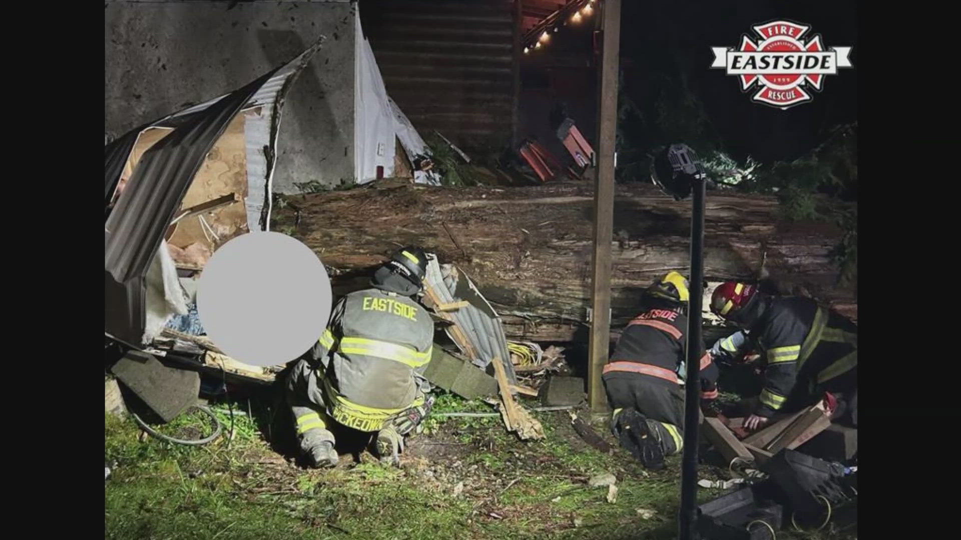 강풍에 나무 차량 덮쳐 1명 사망…WA 4만 가구 정전·도로 통제