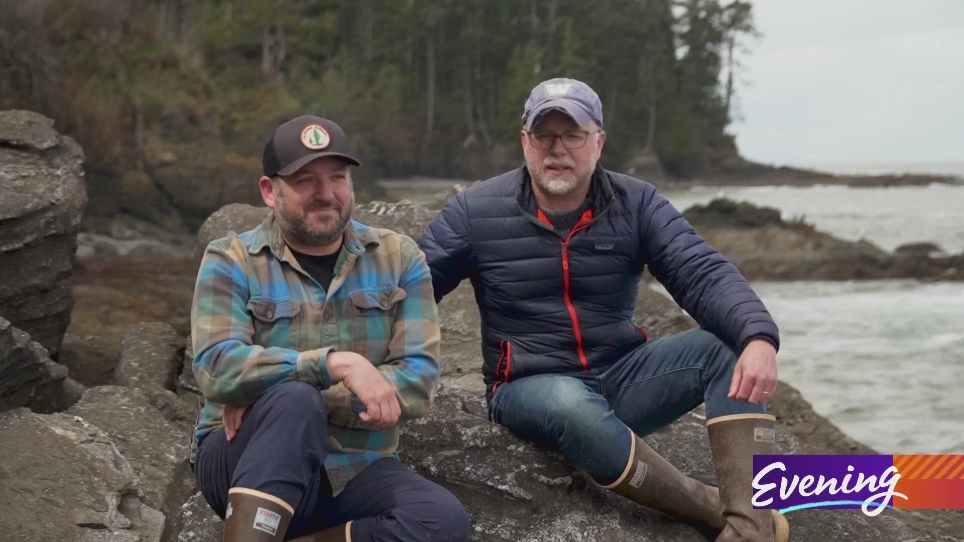 A new book is the ultimate guide to exploring different areas at low tide.