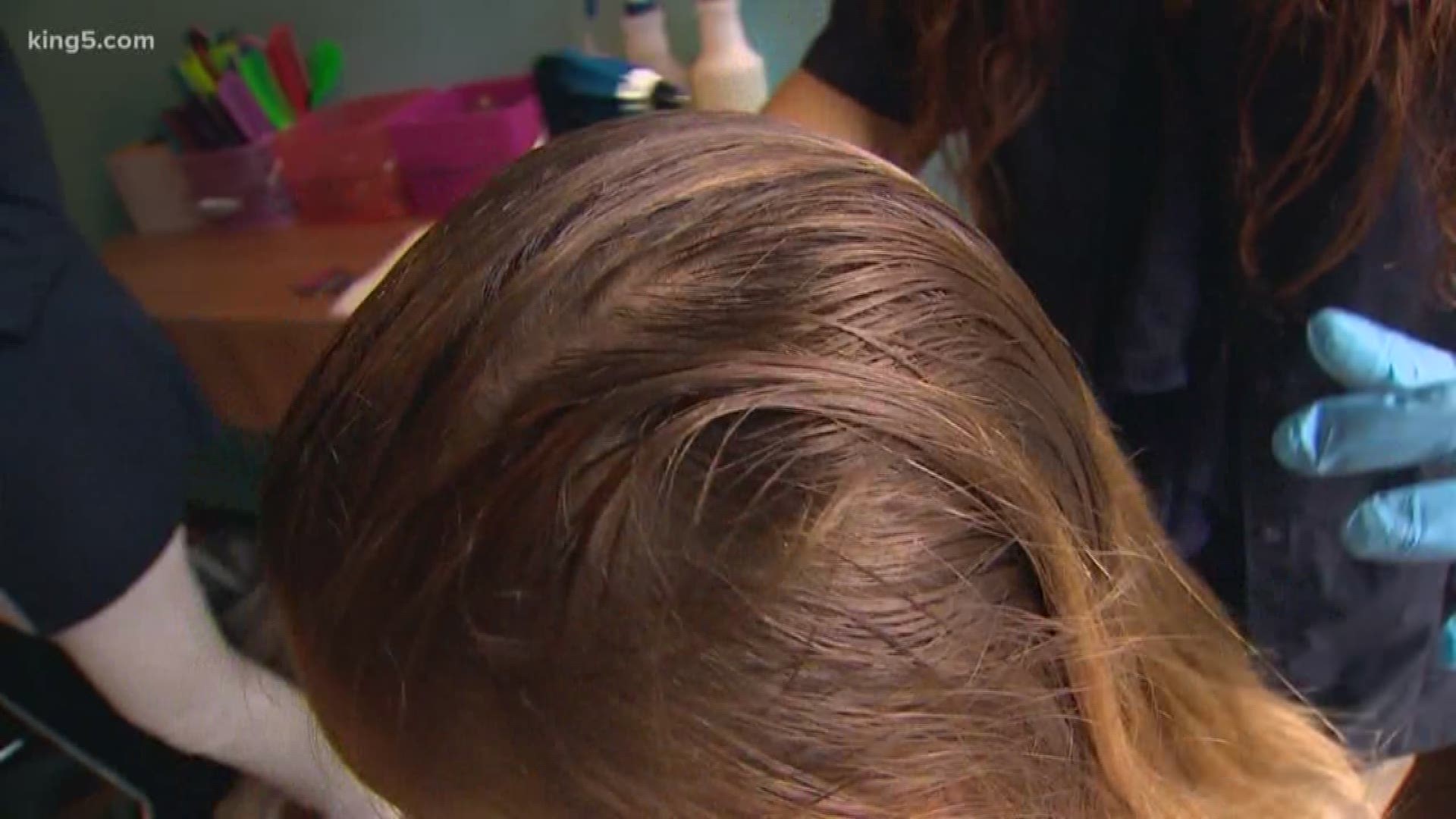 KING 5's Chris Cashman reports for Take 5 on the back-to-school worries over lice: 