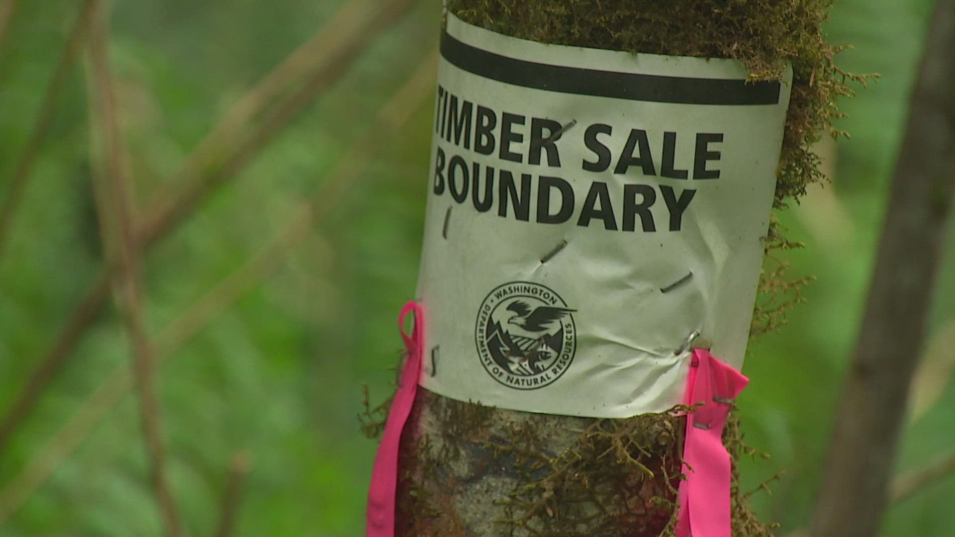 The Washington Department of Natural Resources put plans to harvest 16 acres of timber on hold following concerns by neighbors and Thurston County commissioners.