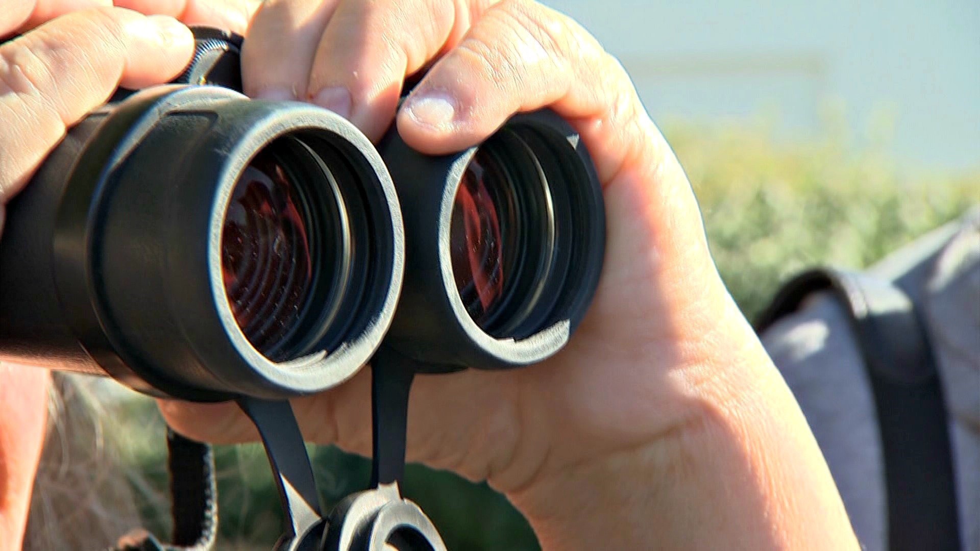 Puget Sound Bird Festival comes to Edmonds | king5.com