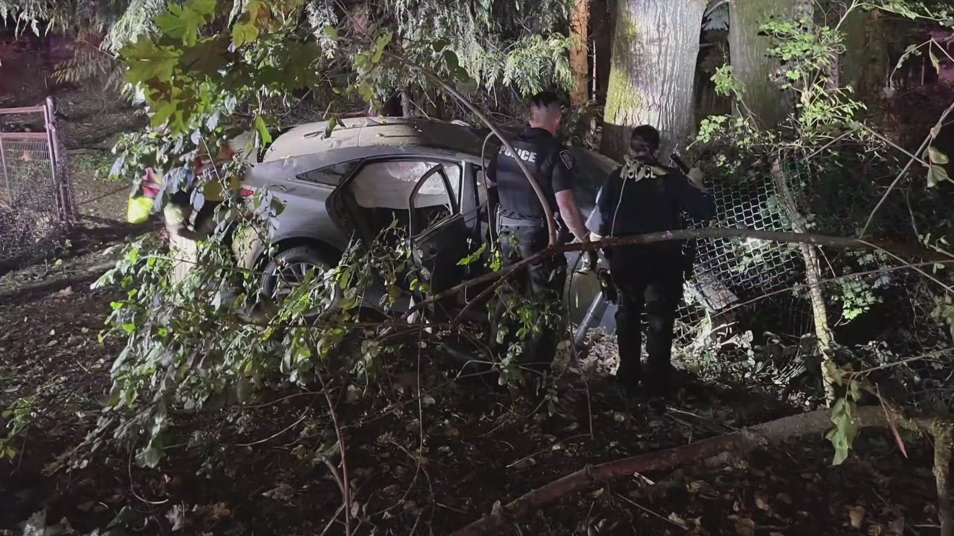 Carjacking Suspects Crash Into Tree After Police Pursuit 