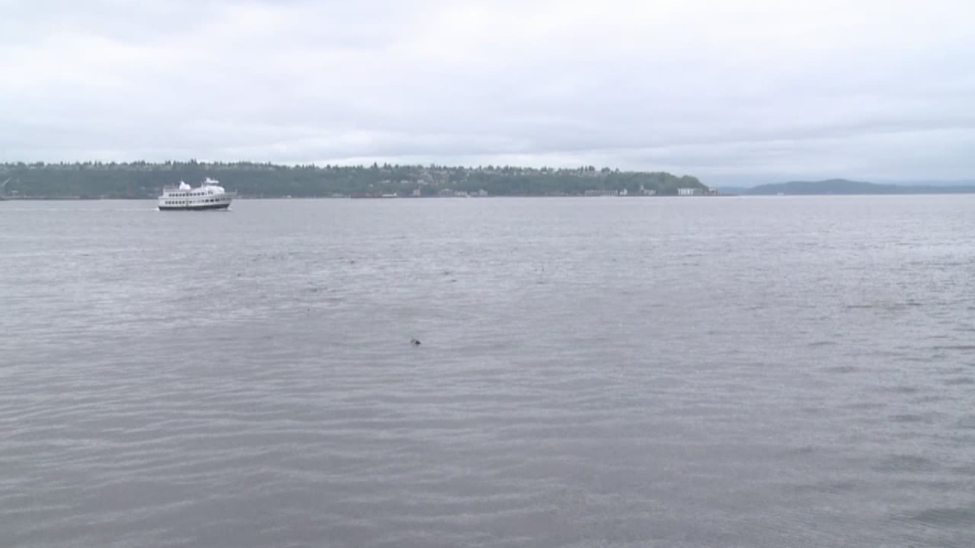 The Department of Ecology announced Tuesday that boats can no longer dump human waste into Puget Sound. Right now boats can dump raw sewage in Puget Sound if they are three miles from shore, and partially treated sewage can be dumped overboard from anywhe