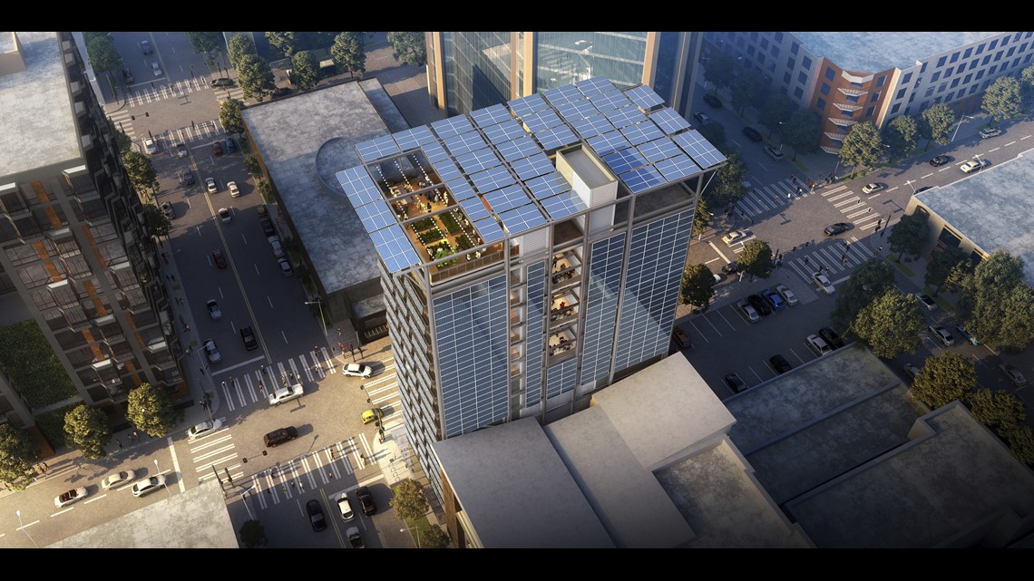 View of How Emerging Practices Approach Sustainability in Architecture