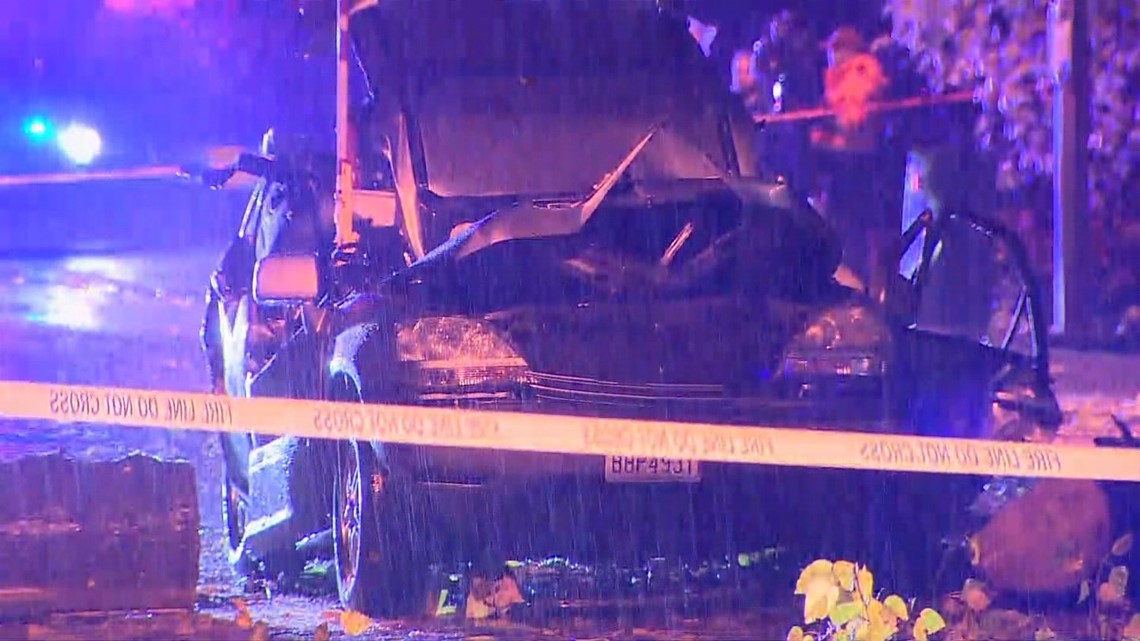 1 dead, 2 injured after tree falls on car near Renton | king5.com