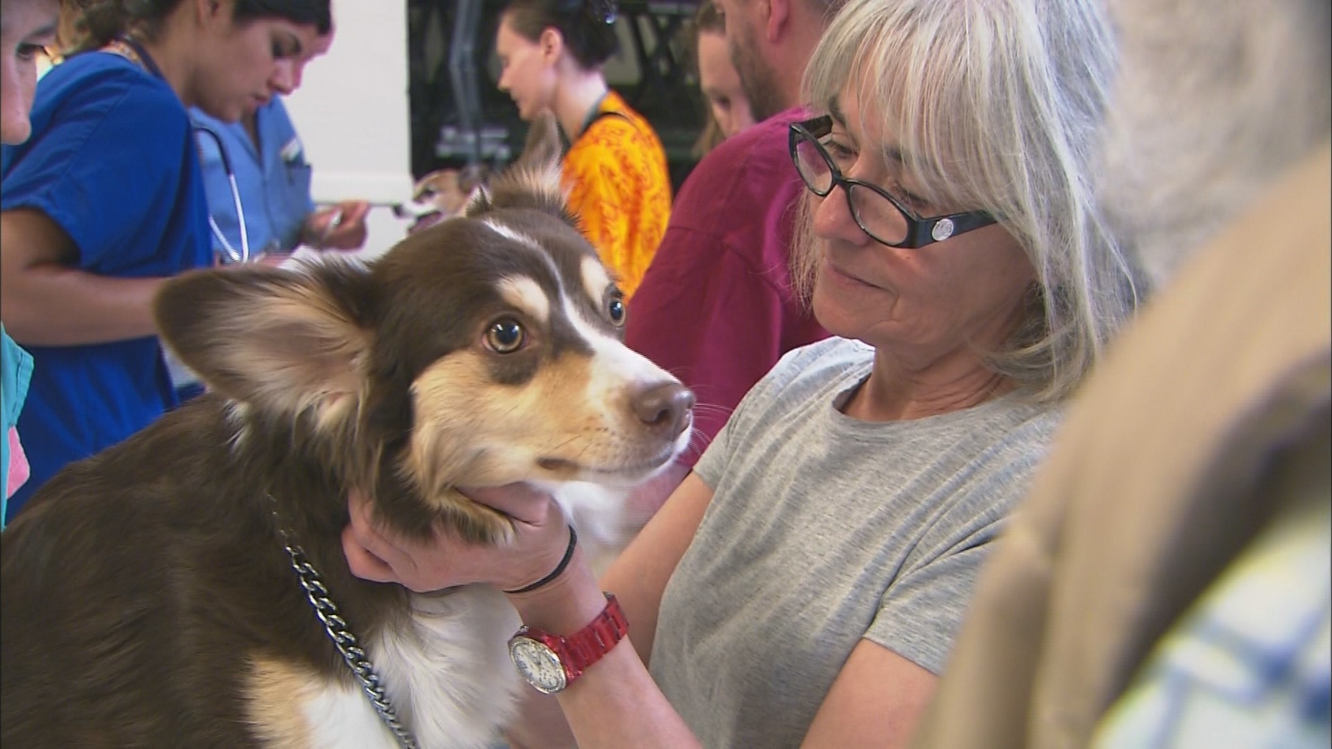 Downtown clinic serves low pet owners