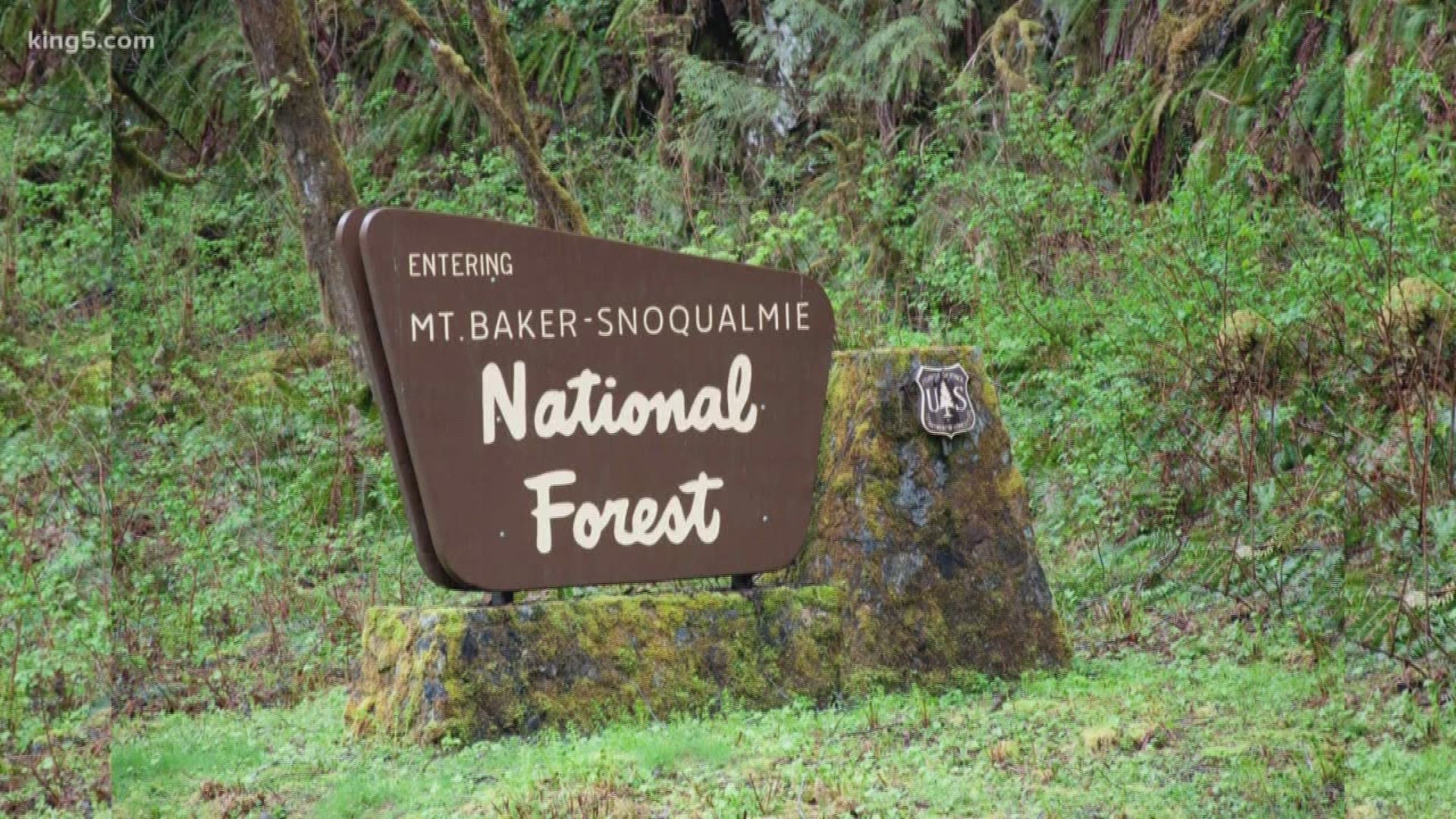 A National Forest sign located outside Enumclaw along a forest service road was stolen sometime within the last week. Call 425-888-1421 with any information.