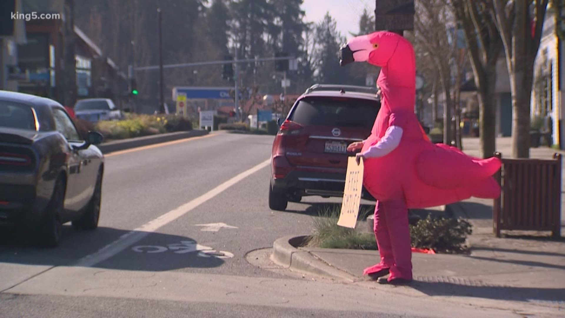 He stands on a corner of the street in an inflatable flamingo costume to bring smiles during a tense time.
