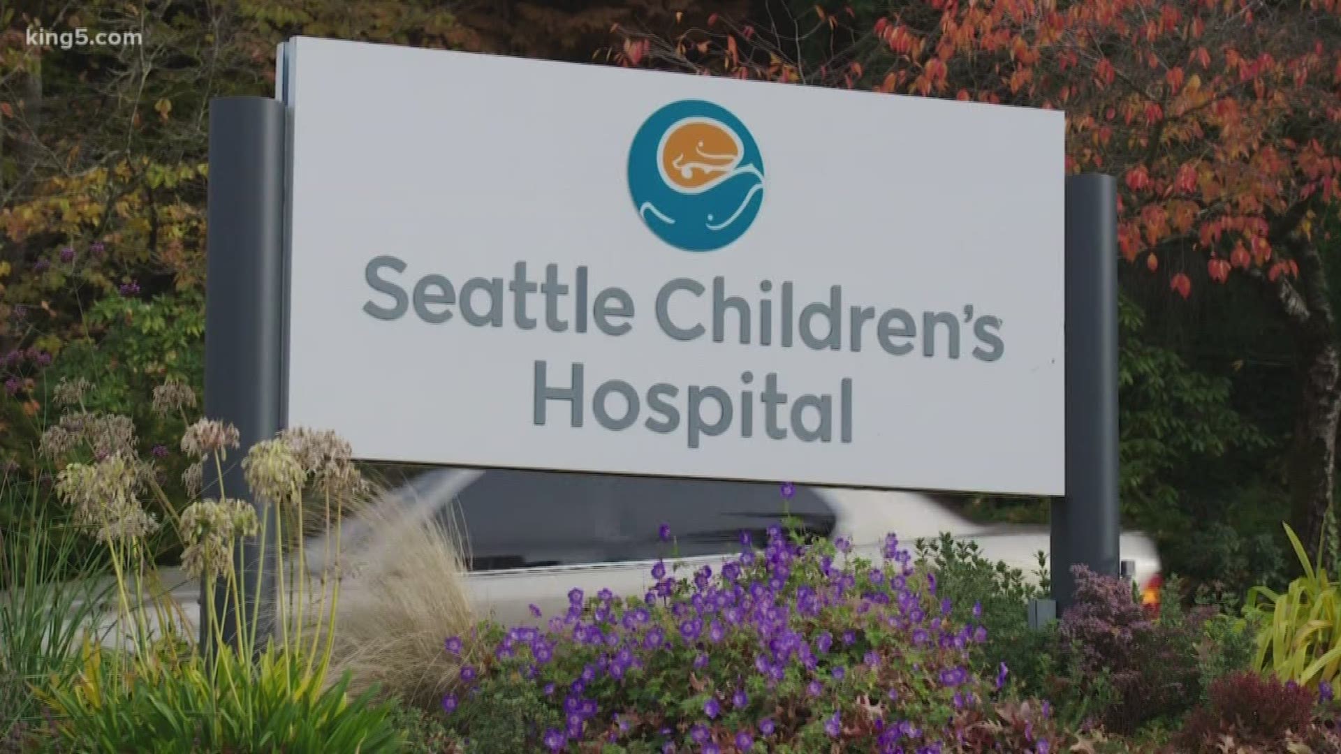 Public records just released following a court battle with KING 5 reveal the hospital informed the public health department last year about prior mold infections.