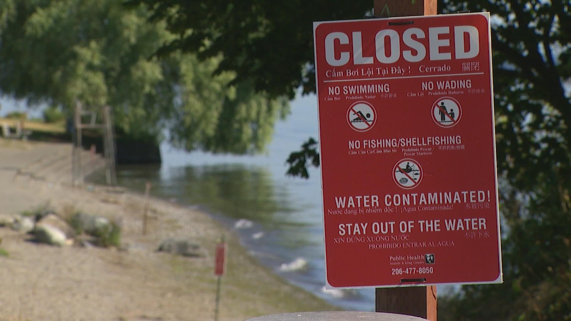 Water quality testing will be conducted until the King County Health Department deems it safe enough to reopen the beaches.