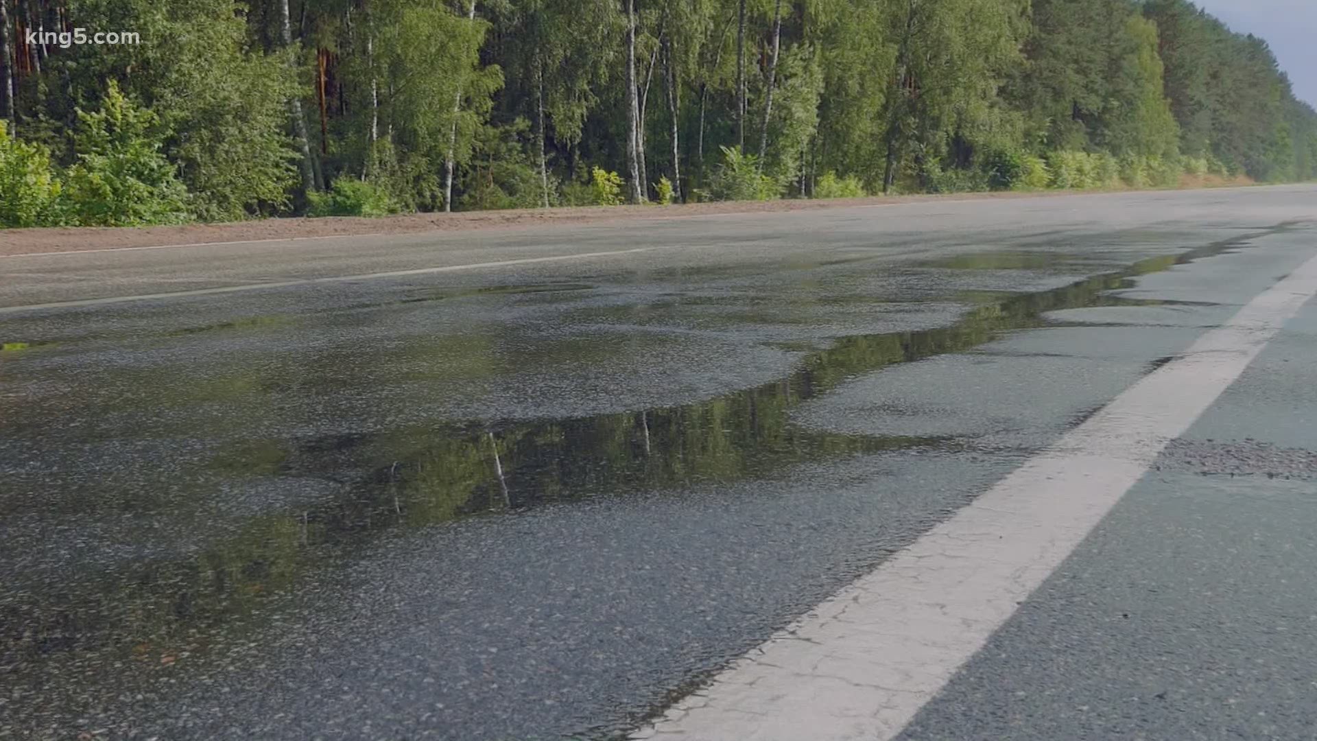 As KING 5 Meteorologist Rich Marriott explains, when it rains it forces fluids, like oil from cars, to the top making the roads very slippery right off the bat.